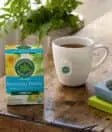 Traditional Medicinals - Organic Everyday Detox, Dandelion, 16 Bags - Nutrition Plus