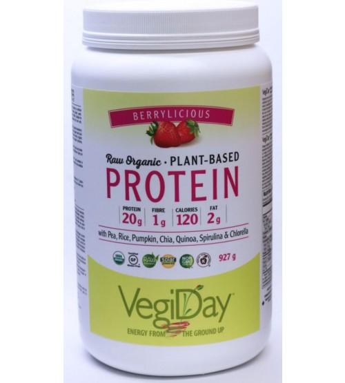 VegiDay Raw Organic Grass Fed Protein - Nutrition Plus
